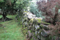 ‘The surviving boundary wall of Culloden Parks. Image HES’