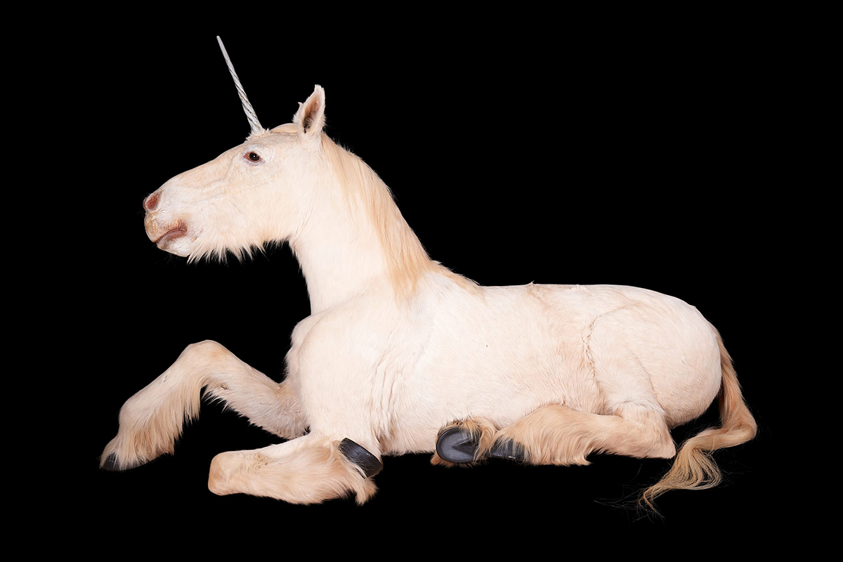 ‘Unicorn up for auction. Photo Curated Auctions’